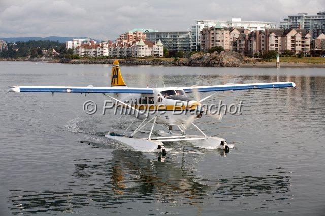 canada colombie britannique 38.JPG - Hydravion reliant Vancouver à Victoria, Ile de Vancouver, Colombie-Britannique, Canada